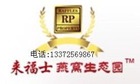 哪里能買到進(jìn)口優(yōu)質(zhì)燕窩 | 燕窩資產(chǎn)的精致管理與采購(gòu)指南